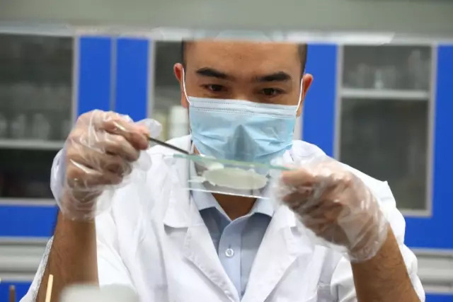 好神奇！環(huán)氧膠消泡劑能解決車飾開裂問題