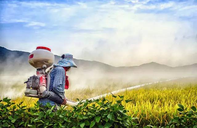 農(nóng)藥是鐵，農(nóng)藥消泡劑是鋼