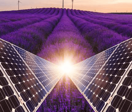 留下我的導電液消泡劑，也停止您的導電液泡沫