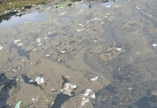 希望你，不要等到環境被污染了才意識到垃圾滲濾液處理消泡劑的必要