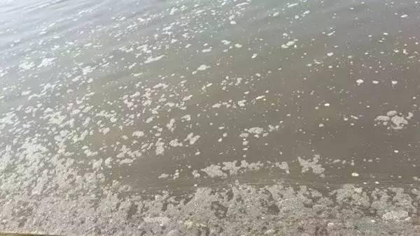 原來是沒用池塘用消泡劑，難怪池塘中的泡沫控制不住！