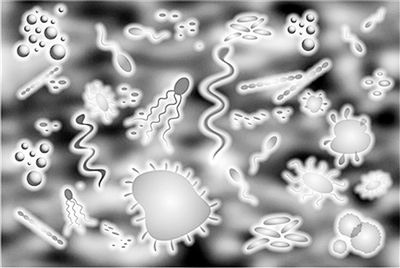 微生物用消泡劑就沒有比我寫更詳細的了!-