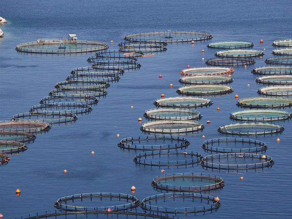 水處理消泡劑使用方法？你真的知道嗎？