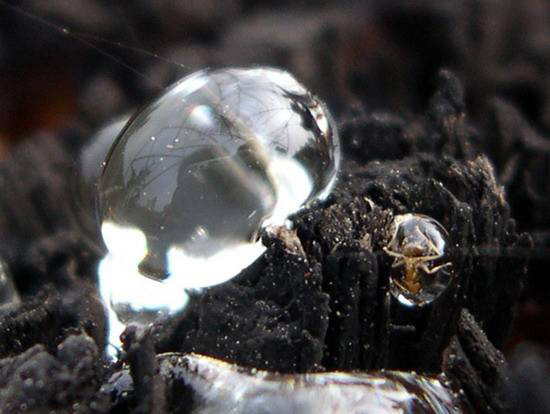 泡沫是不會善罷甘休只會從頭再來。造紙乳化松香膠消泡劑