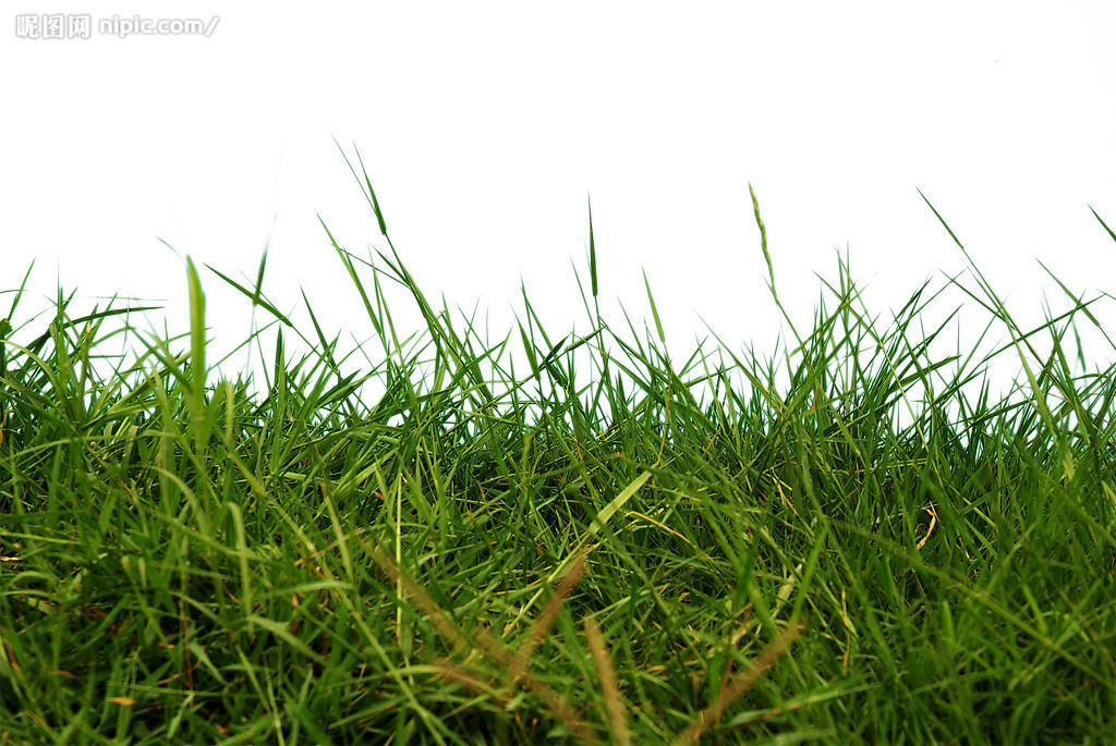 農(nóng)藥消泡劑在除草劑中的應(yīng)用