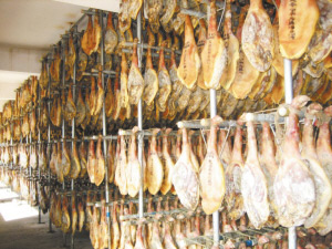 發(fā)酵行業(yè)用消泡劑在發(fā)食品中的應(yīng)用