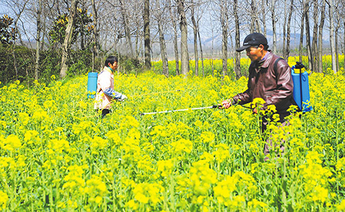農用有機硅消泡劑在農藥中的應用 農用有機硅消泡劑在農藥中的應用