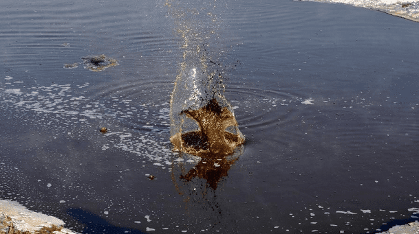 水處理消泡劑在水處理中的應用 水處理消泡劑在水處理中的應用