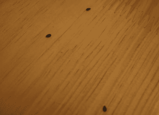 地板消泡劑在地板中的應(yīng)用 地板消泡劑在地板中的應(yīng)用