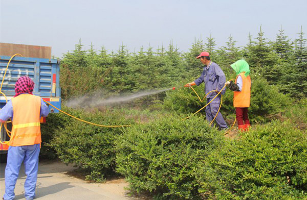 除草劑消泡劑在除草中應用 除草劑消泡劑在除草中應用
