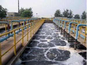 生物水處理消泡劑的應(yīng)用 生物水處理消泡劑的應(yīng)用