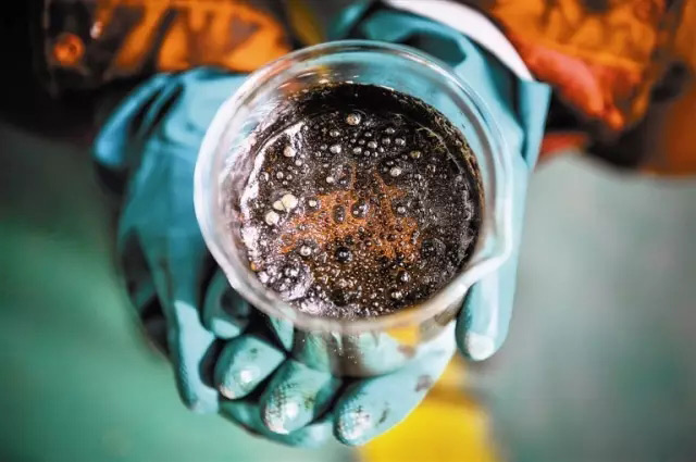 ms3.webp.jpg ms3.webp.jpg