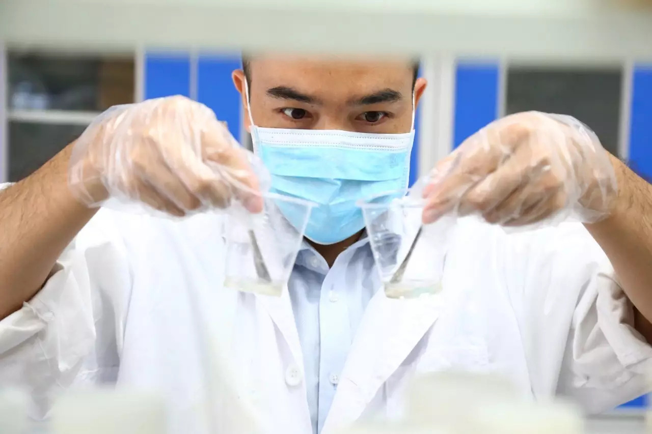 確認實驗結(jié)果 確認實驗結(jié)果