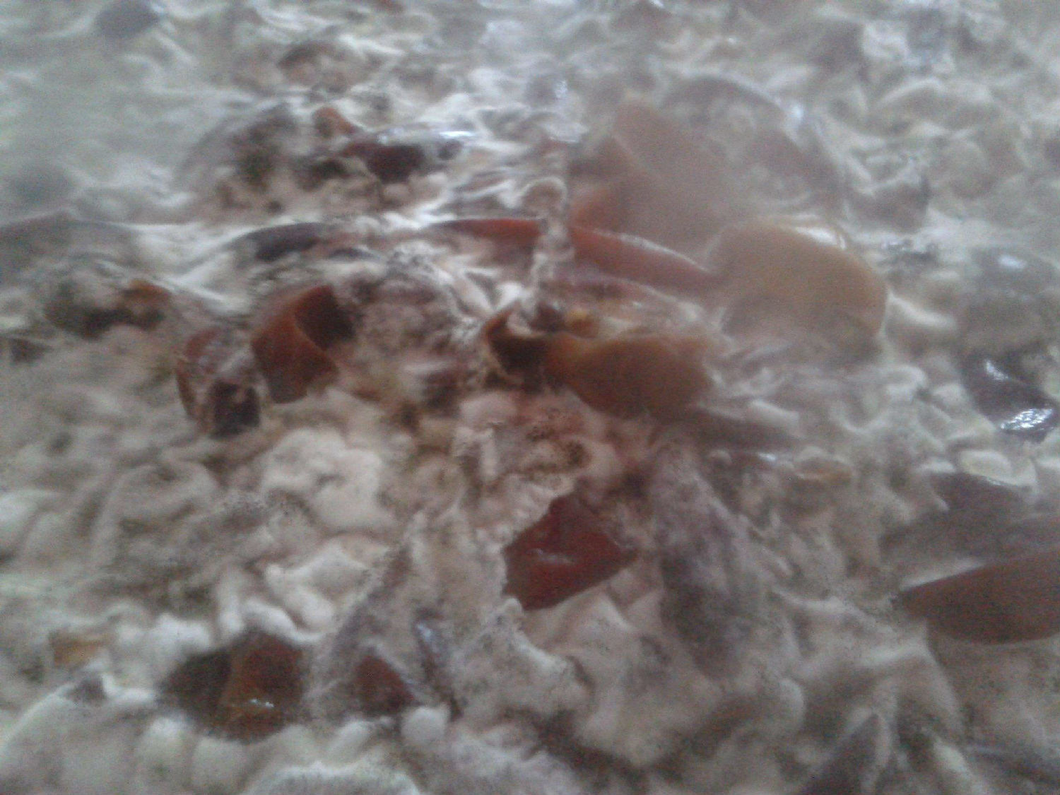 發酵消泡劑在發酵中應用