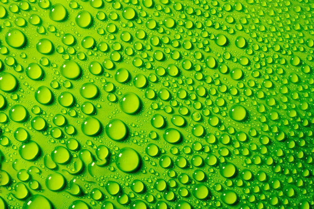 145845.jpg 145845.jpg